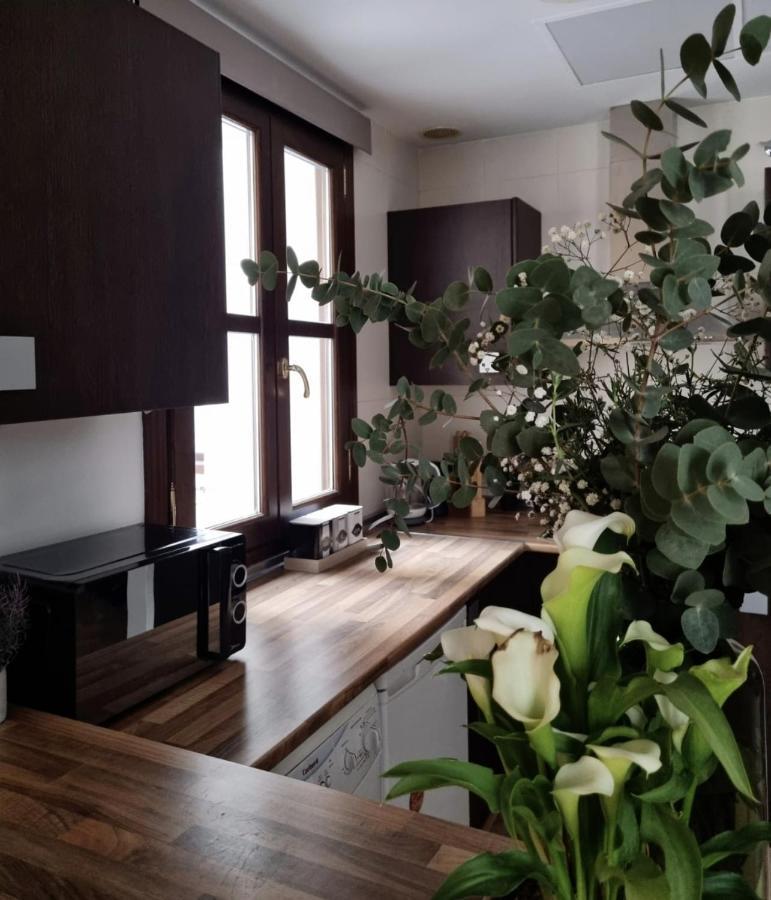 גרנדה Cozy Apartment In The City Center מראה חיצוני תמונה
