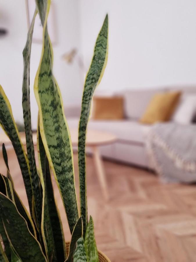 גרנדה Cozy Apartment In The City Center מראה חיצוני תמונה