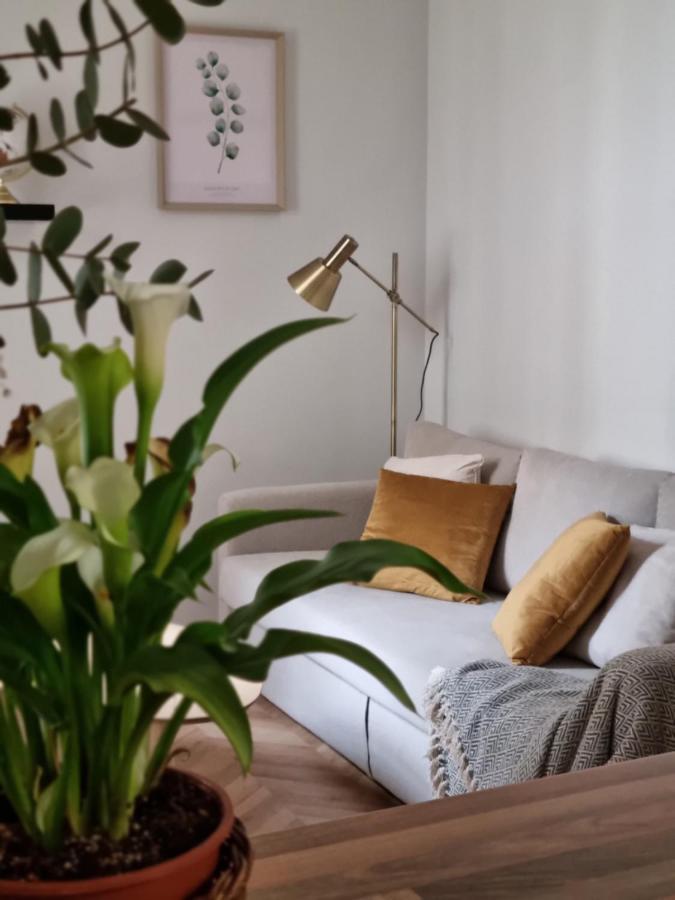 גרנדה Cozy Apartment In The City Center מראה חיצוני תמונה